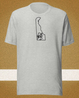 Delaware State DEPB with USA Flag Back Unisex T-shirt